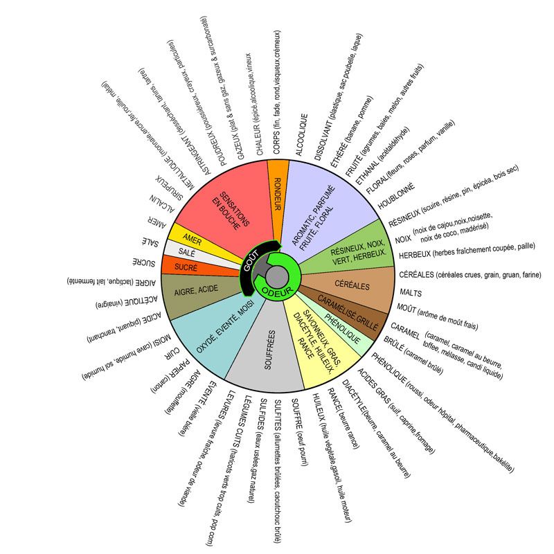 service dégustation bière