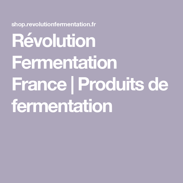 fermentation bière levures