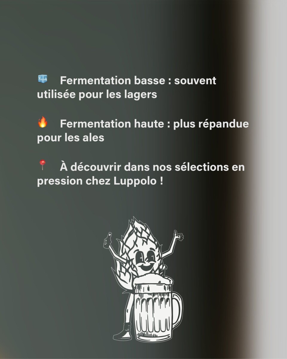 fabrication bière maison