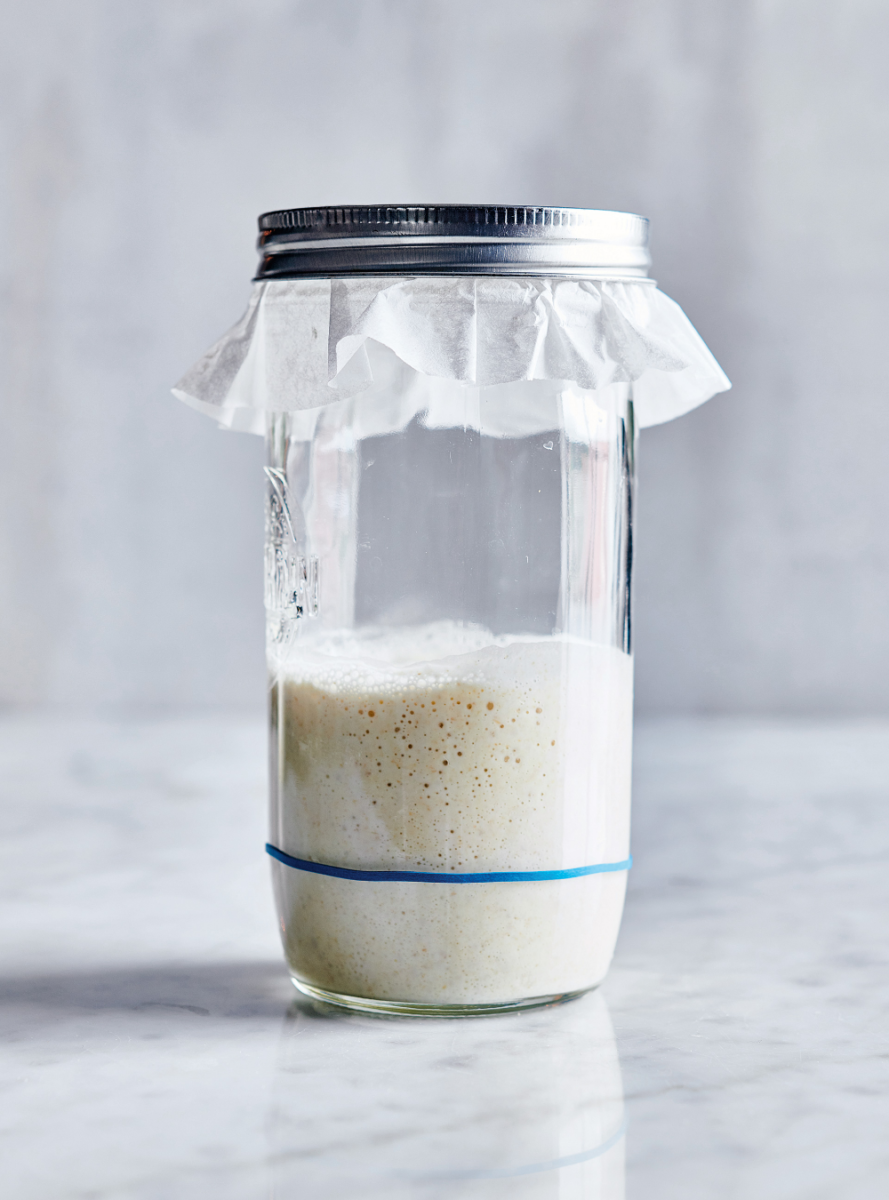 fermentation bière levures