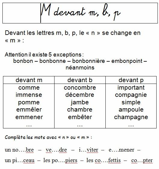 Outil brasseur amateur