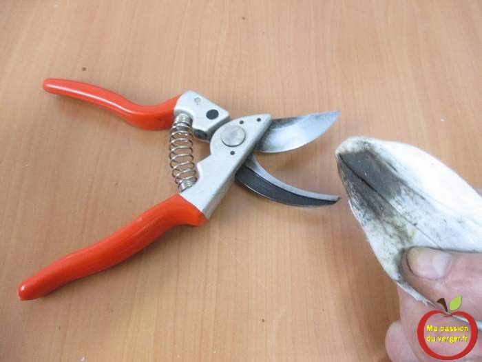 calcul volume bière