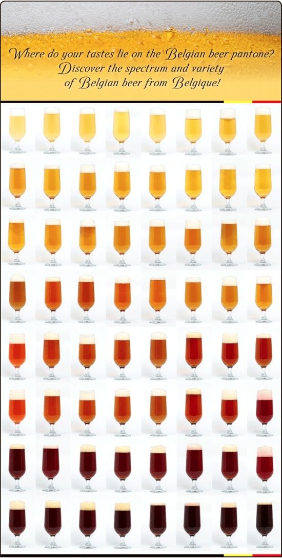 formule conversion bière