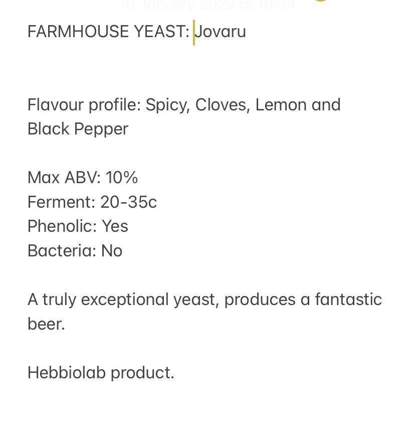 fermentation bière levures