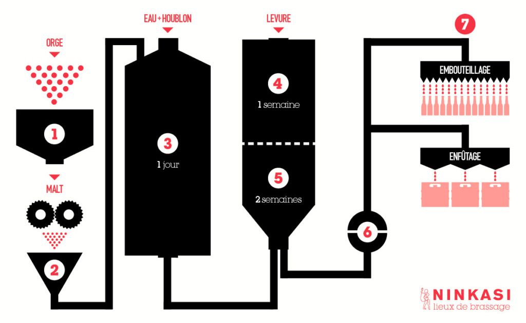 fermentation bière levures